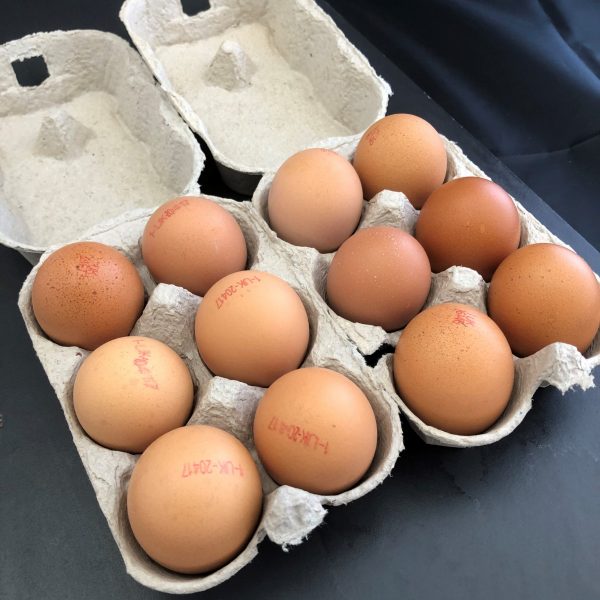 Free Range Eggs